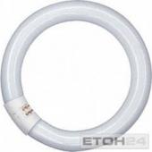 Ring T9 - Ø 30mm